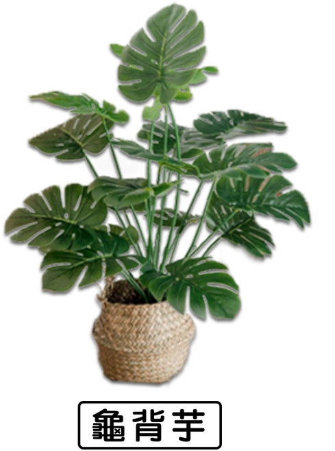 仿真龜背芋盆栽 居家擺飾, 1個, <新款> 龜背芋 高約70公分