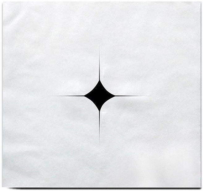 천사만물상 일회용 베개커버 얼굴커버 마사지커버 100매 안면커버, 100개