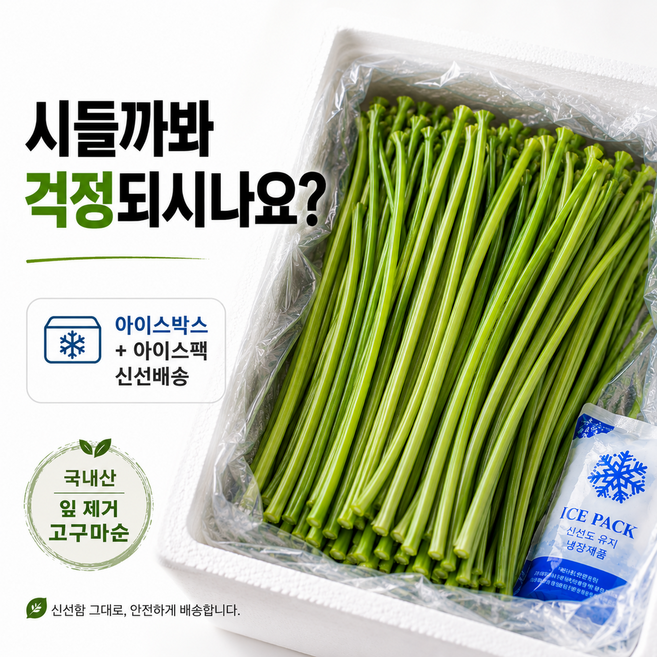 [시들걱정NO] 국산 고구마줄기 고구마순 산지직송, 1박스, 2kg