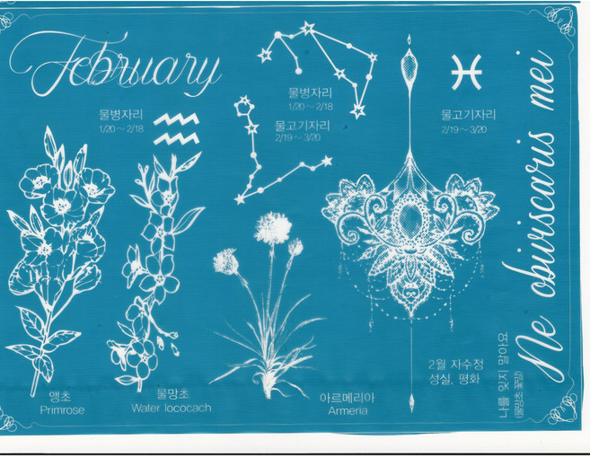 헤나타투 A5사이즈 도안 웝별 탄생화/탄생석/별자리 세트(헤나잉크+붓 포함), 1개, 02월