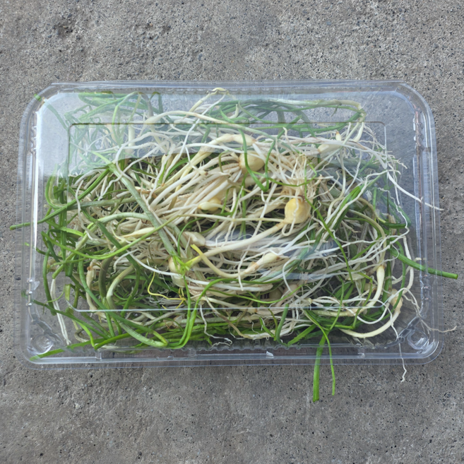 삼시세끼연구소 봄향터지는 국산 세척 손질 달래, 2박스, 125g