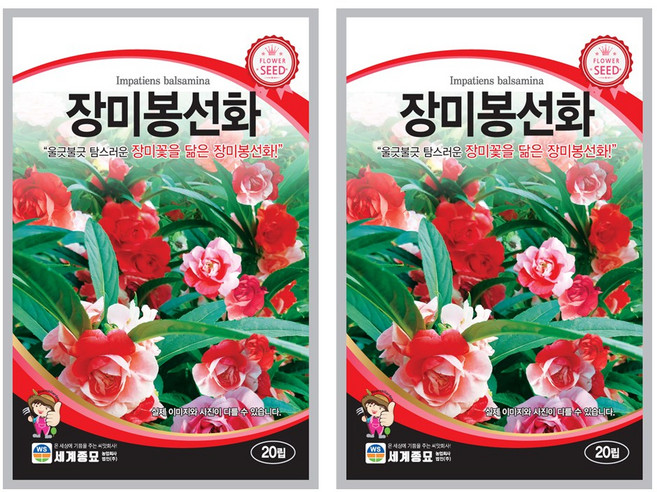 장미봉선화 씨앗 20립 겹꽃봉선화 꽃씨앗 세계종묘 모칸도, 2개