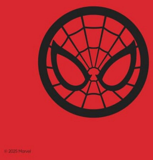 Owala Disney Princess FreeSip 단열 스테인리스 스틸 물병 스포츠 및 여행용 빨대 포함 BPA 프리 스포츠 물병 680.4g(24온스) 벨, Marvel, Spiderman