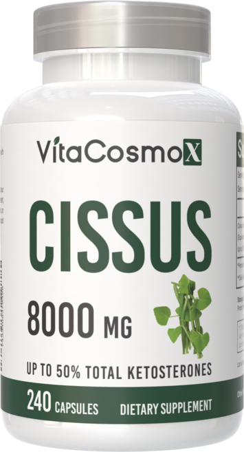 미국직배송 VitaCosmoX 시서스 추출물 Cissus 고함량 고농축 8000mg 케토스테론 50% 시서스캡슐 시서스 가루 분말, 1개, 240정