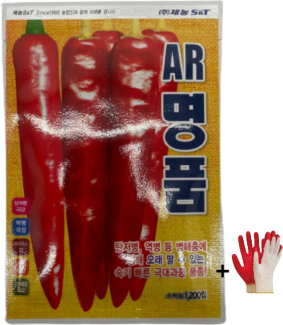 고추씨앗 명품 1200립 종자 칼라병 탄저병 역병 극강 제농 +자재스토어 장갑셋트, 1개