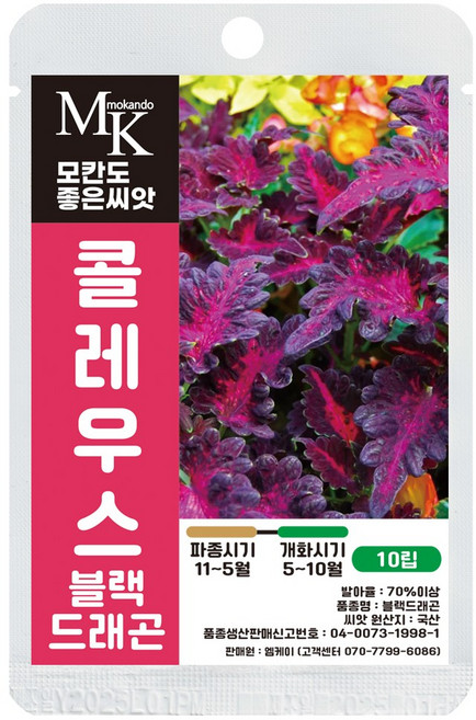 모칸도 좋은씨앗 콜레우스 씨앗 10립 블랙드래곤 국산 꽃씨 꽃씨앗, 1개