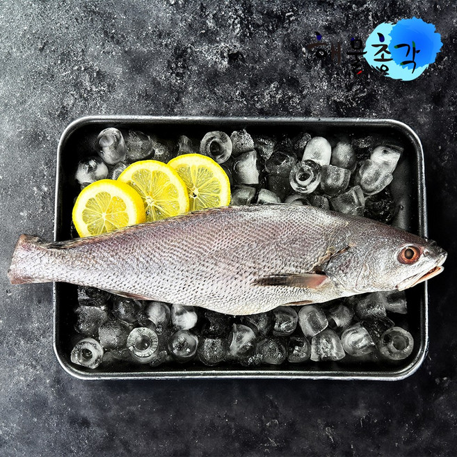 해물총각 민어 제주민어 400g, 1개