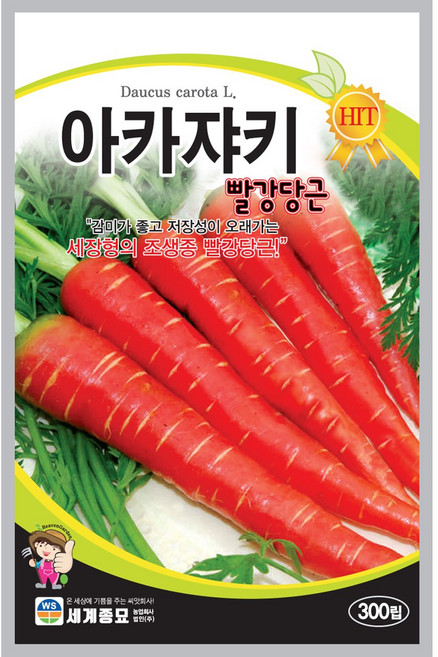 주주씨앗 당근 비트 콜라비 / 그린콜라비 / 레드올레 / 비트 / 빨강당근 / 노랑당근 / 봄당근 / 뿌리채소 / 씨앗 / 텃밭씨앗 / 베란다텃밭 / 씨앗키우기 / 주말농장, 3. 아카쟈키당근 300립, 1개