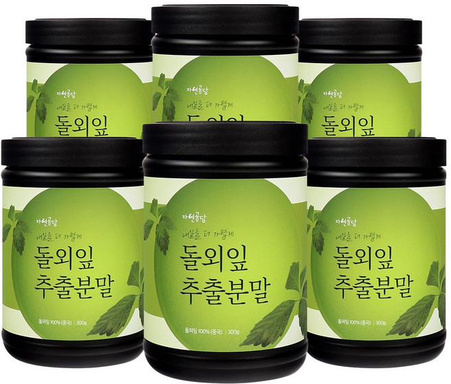 두손애약초 돌외잎 가루 분말 추출물, 6개, 300g