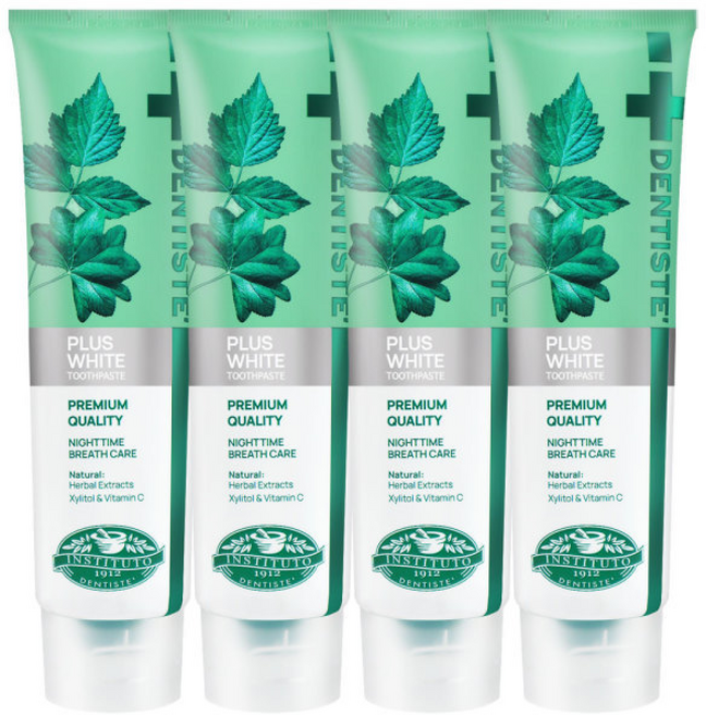 덴티스테 플러스 화이트 치약 튜브형 / 구취제거 세균억제, 60g, 4개