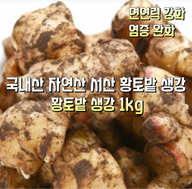 [산지직송] 국내산 자연산 서산 황토밭 생강 1kg, 1박스, 황토밭 햇 생생강 1kg