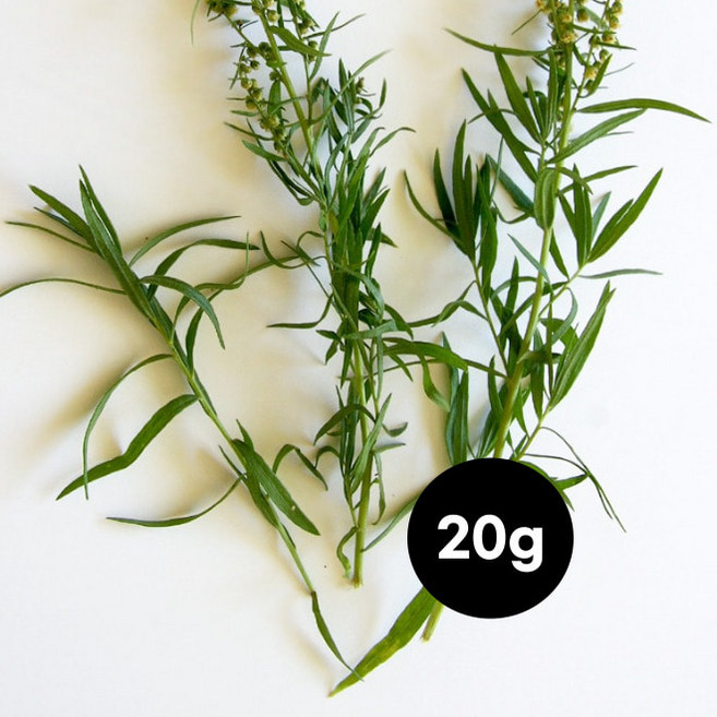 생(生) 허브 타라곤 20g Fresh Tarragon, 1개