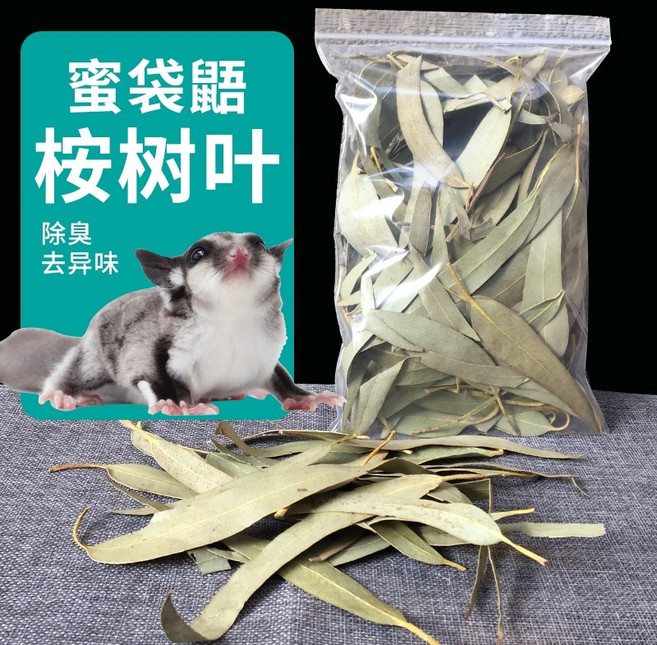 슈가 글라이더 키우기 꿀 스낵 식품 꿀 식품 주식 햄스터 스낵 풀 곰 다람쥐 분양 포치, 유칼립투스 잎 1, 1개