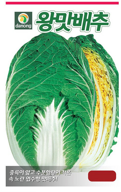 다농 왕맛배추 씨앗 1000립, 1개