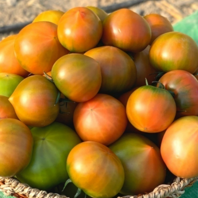 [최상품질] 대저토마토 로얄과 짭짤이 5kg 1박스(S~2S) 산지직송, 1박스, 5kg로얄과(S~2S)