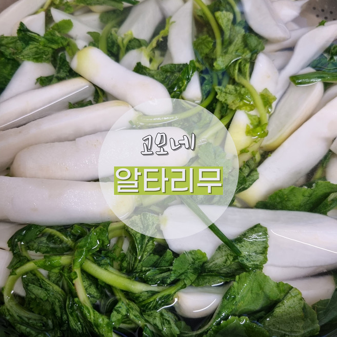 [고모네] 국내산 수작업 세척 절임 알타리무 3kg 5kg 10kg 선택가능, 1박스, 세척절임알타리 3kg