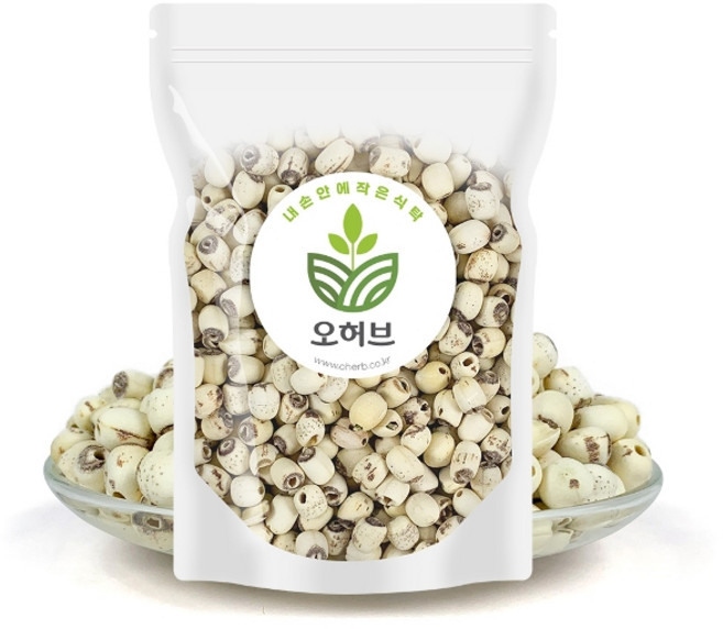 껍질깐 연자육 연꽃씨앗 연밥 연꽃씨 500g, 1개
