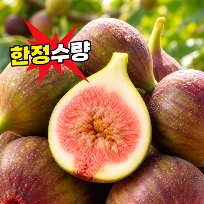 [초특가] 프리미엄 영암 생 무화과, 1개, 500g
