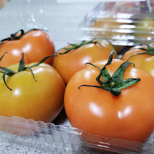 방울토마토 흑토마토 샤인마토 못난이토마토 건달마토, 스테비아완숙토마토(2kg), 1개