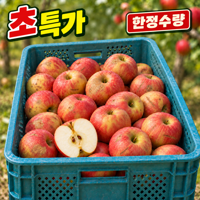 [초특가/90박스한정] 산지직송 고당도 못난이 사과, 1박스, 5kg