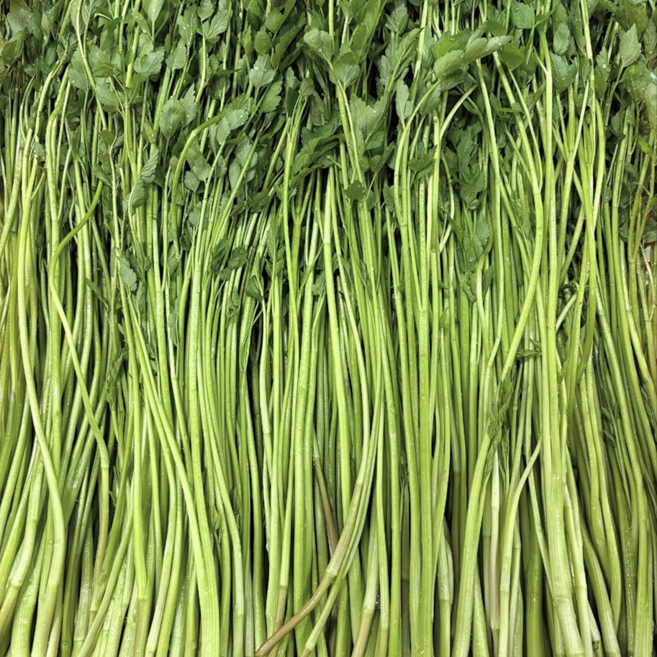 특상품 당일수확 손질 미나리, 1박스, 4kg