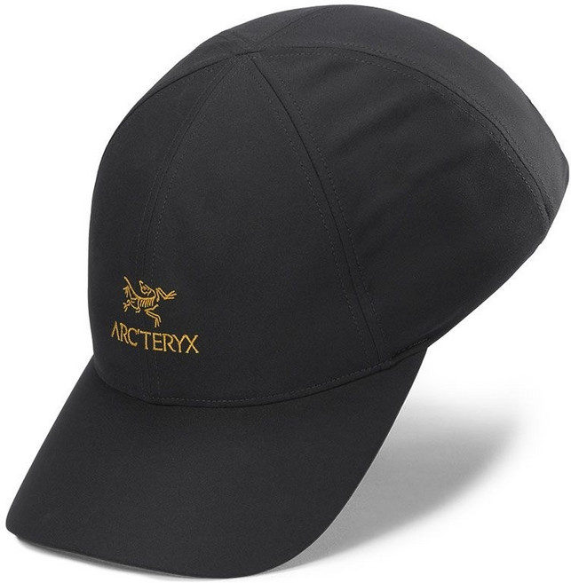[국내매장판] 아크테릭스 25FW 버드 워드 캡 AEPFU09463 172435, L-XL(58-60cm), DYNASTY(다이너스티)