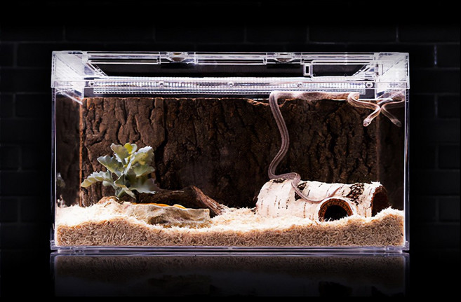 파충류 사육장 도마뱀 아크릴 케이지 백스크린 렉사 집, 1개
