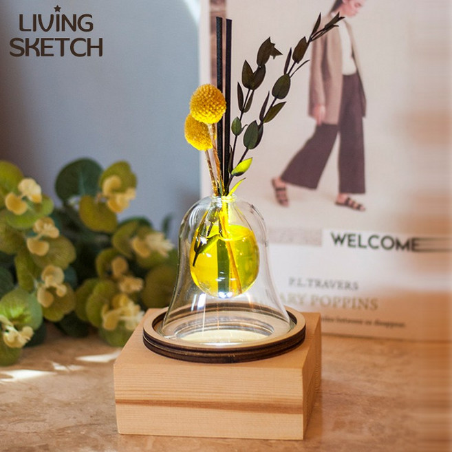 [리빙스케치] 골든볼 프리저브드 LED조명 디퓨저세트 방향제 핸드메이드 인테리어소품 선물포장, 다우니, 1개