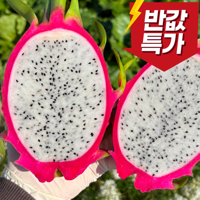 [백화점납품용] 프리미엄 베트남 백 용과, 1개, 5kg