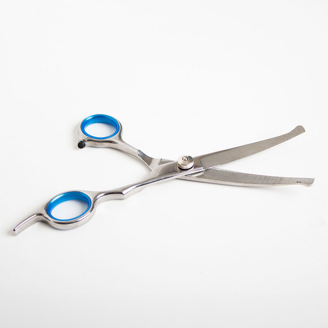 모가펫 안전한 애견가위 초보자용 강아지 고양이 미용가위, 블루링, 1개, 오른손가위