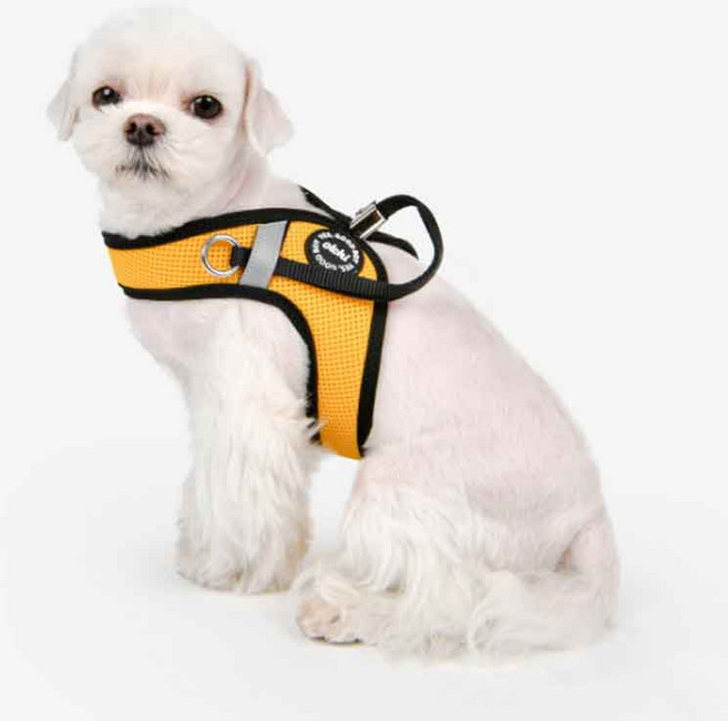 꾸러미세상 강아지하네스 올치 콤비 소프트 하네스 V type 강아지목줄 대용 다양한 색상 HV6049, 블루, 1개