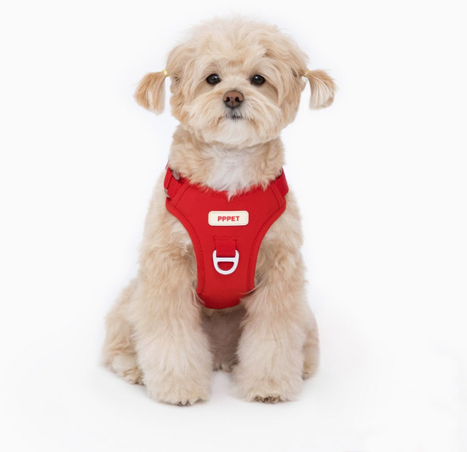 펫펫펫 강아지 하네스, 레드, 1