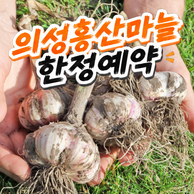 [첫수확특가] 2026 햇 홍산마늘 의성마늘, 1박스, 1kg