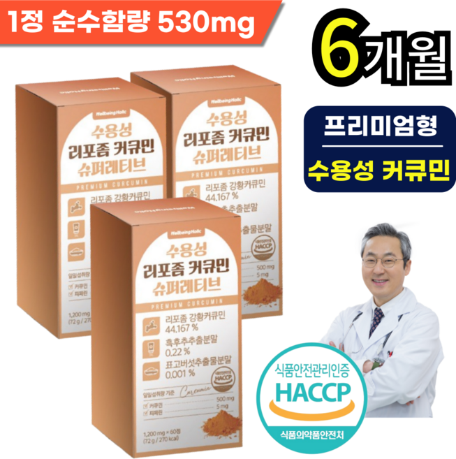 웰빙홀릭 수용성 초고함량 커큐민 리포좀 강황 영양제, 3박스, 60정