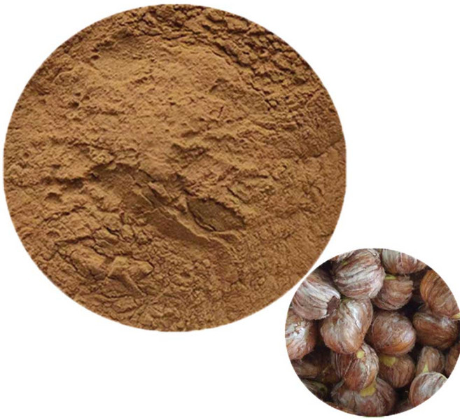 발효율피농축분말 100g 샘플, 1개