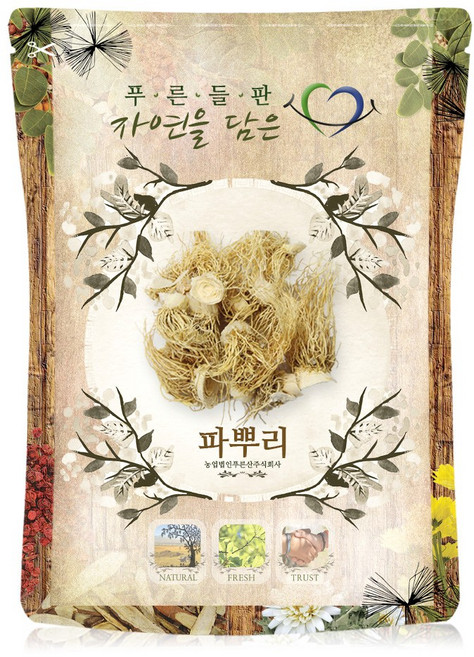 푸른들판 국산 말린 파 대파 뿌리 총백 차, 300g, 1개