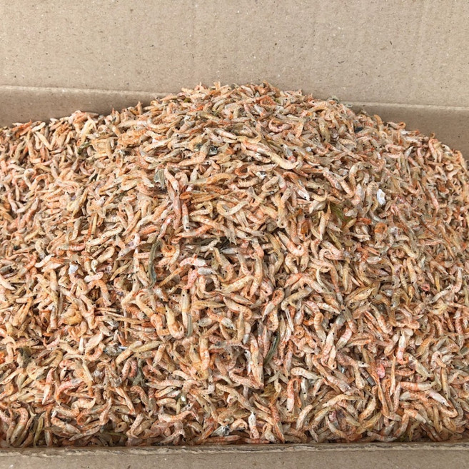 신건호멸치 직접잡은 햇 밥새우(실속형) / 주먹밥 조미료 건새우, 1kg, 1박스
