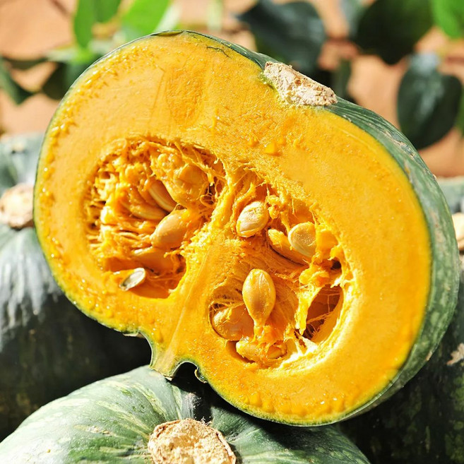 뉴질랜드 단호박 밤호박, 1박스, 10kg