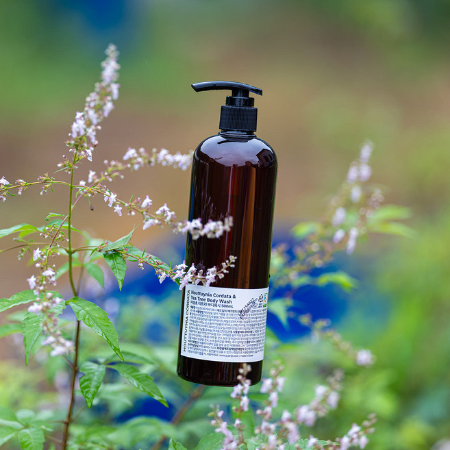 유안재 어성초 멀티 바디워시 티트리, 490g, 1개