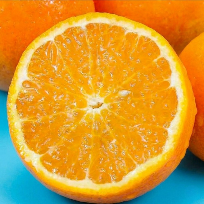 [재구매율1위] 산지직송 꿀brix 제주 카라향, 1박스, 3kg