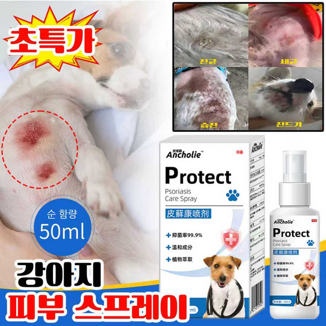 [당일출고] 1/1+1 강아지 피부 가려움 연고 진균 세균 습진 상처 스프레이, 3개, 50ml