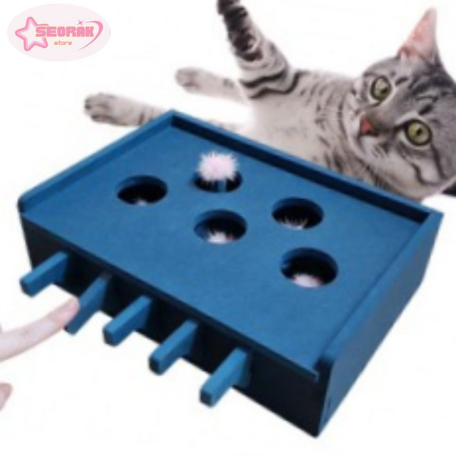 서락 고양이놀이 2in1 캣펀치 매직박스 블루 고양이두더지장난감
