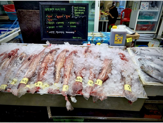 신안 임자도 자연산 민어 회 (2kg~9kg), 2kg, 필렛(분리), 1개