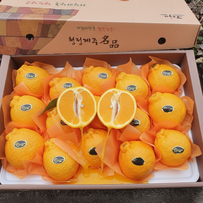 [설맞이 특가] 프리미엄 한라봉 선물세트 부직포가방포함, 1박스, 3kg (7-14과)