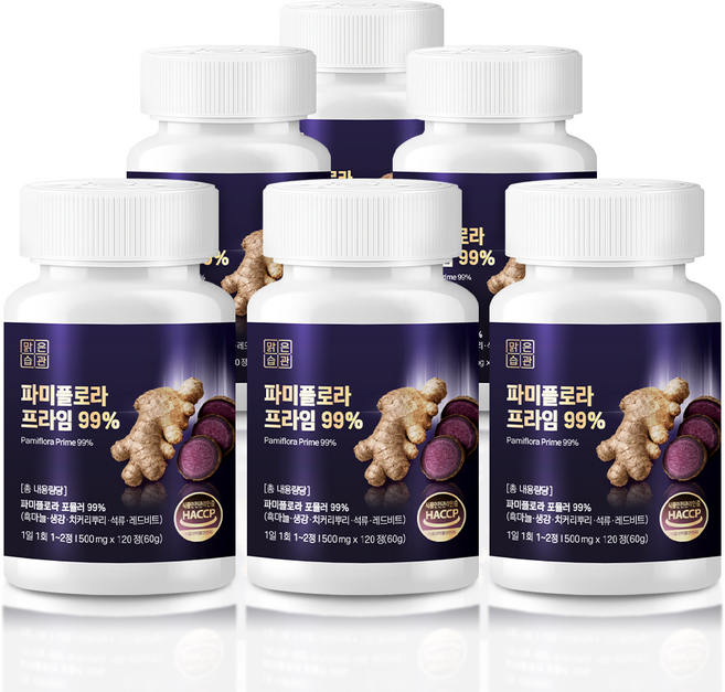 대용량 파미플로라 프라임 99% haccp인증, 6개, 120정