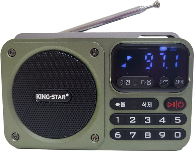 킹스타 효도라디오 K-404 듣고 또 듣는 인기가요 1007곡 포함 전용충전기 포함, 그린+1007곡