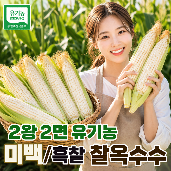 정성가게 홍천 유기농 찰옥수수 미백 흑찰 옥수수 매일수확, 1박스, 20개 못난이 흑찰옥수수)