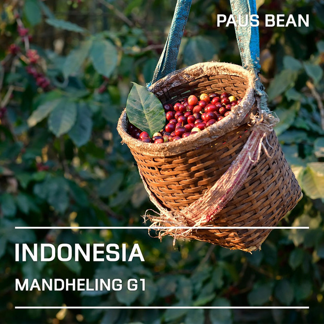 생두대빵 인도네시아 만델링 G1 생두, 1개, 20kg