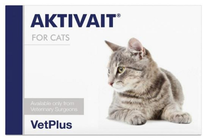 [무료배송][사은품증정] 리뉴얼 벳플러스 액티베이트 캣 60캡슐 유통기한최신 26년 12월 7일, 1개