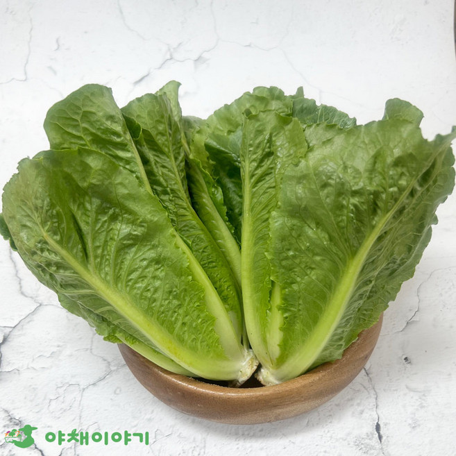 야채이야기 신선한 통로메인 1kg 로메인상추, 1개